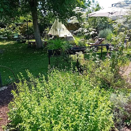Indian Tent Tipi In Shared Lot And Shared Bathroom Mrse Екстериор снимка