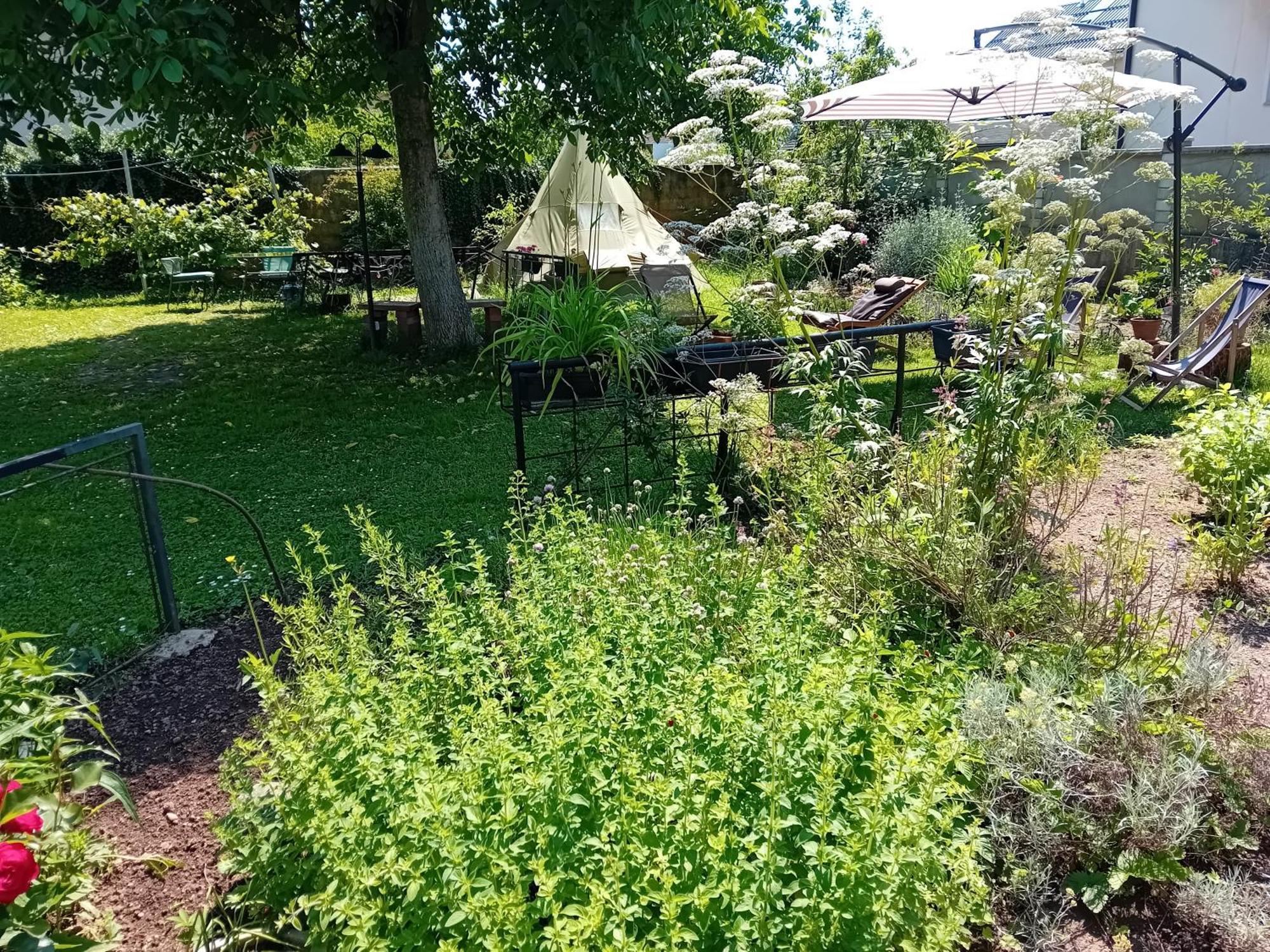 Indian Tent Tipi In Shared Lot And Shared Bathroom Mrse Екстериор снимка
